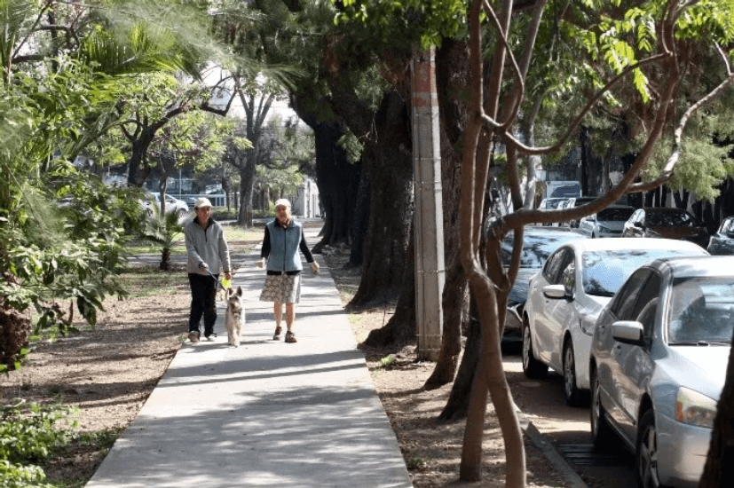 Seguridad cotidiana desde la colonia
